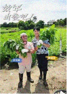 舞姬app资讯 拉丁舞赛事